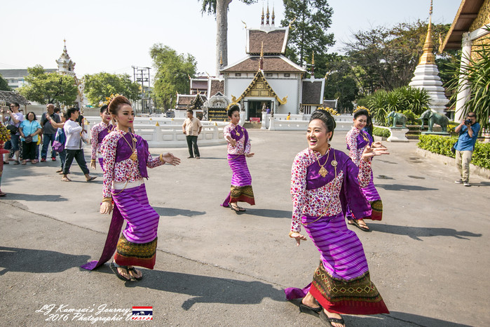 清迈佛寺之城等你采撷的泰北玫瑰,清迈环球旅行家
