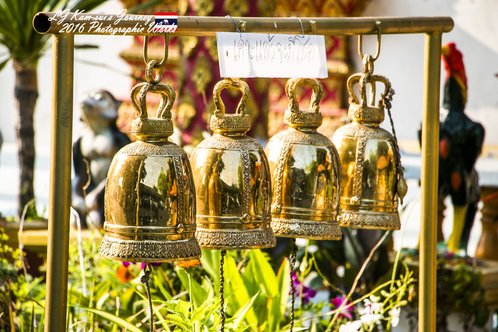 清迈佛寺之城等你采撷的泰北玫瑰,清迈环球旅行家