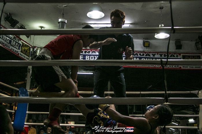 泰国清迈县旅行者,清迈佛寺之城等你采撷的泰北玫瑰