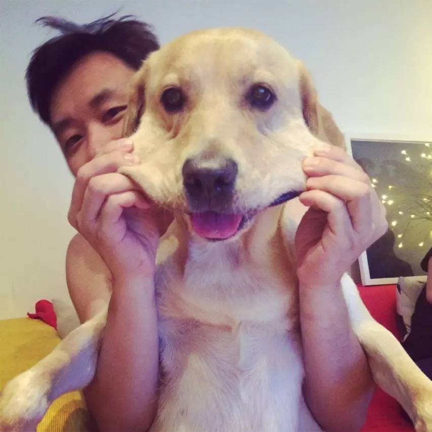 学画画是为了长大以后面对压力,画画是源自心中的那份快乐