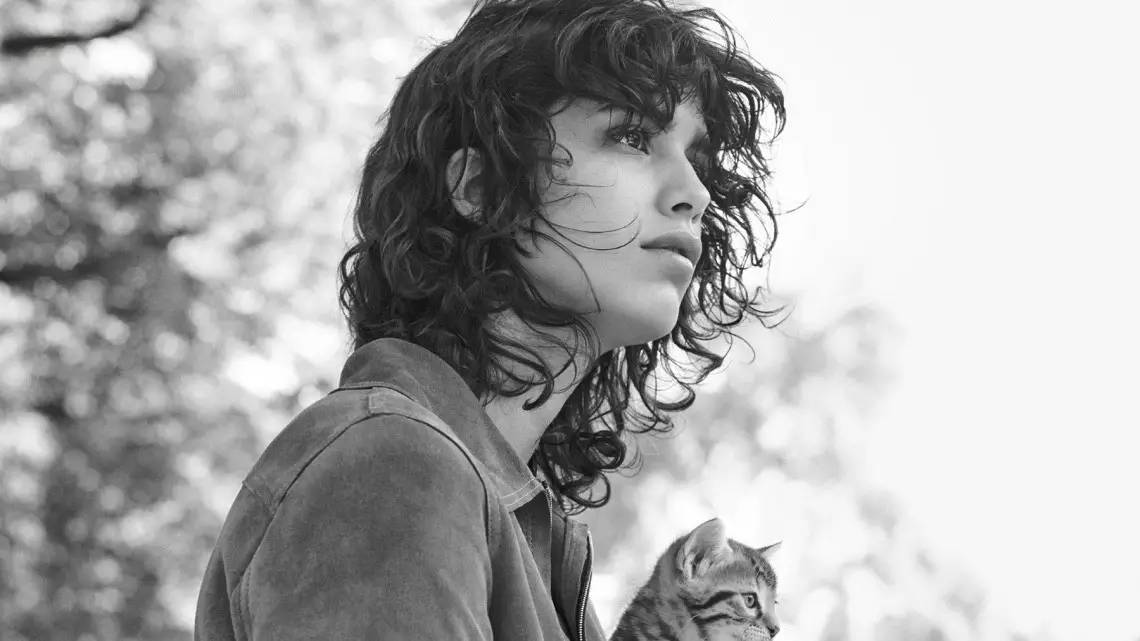 bof新闻,bof新闻分析