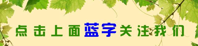 一大波新规袭来!今日起,这些食药法规、标准正式实施!