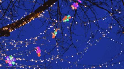 元宵节吃元宵的习俗是怎么来的,元宵节吃元宵的讲究