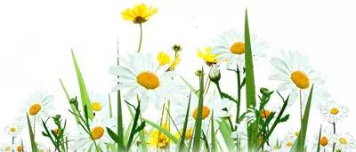 黔南旅游攻略自由行攻略,黔南5条精品旅游线路