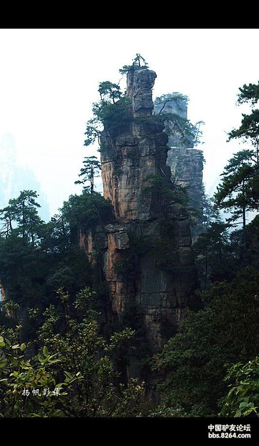 去寻找心中的另一个自己,等待遇见另一个自己