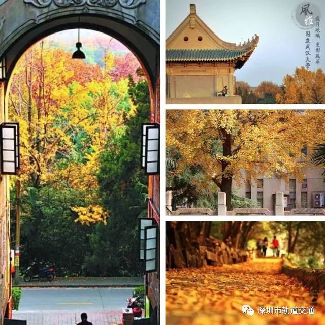 深圳始发高铁汇总,深圳高铁广东省内沿途风景