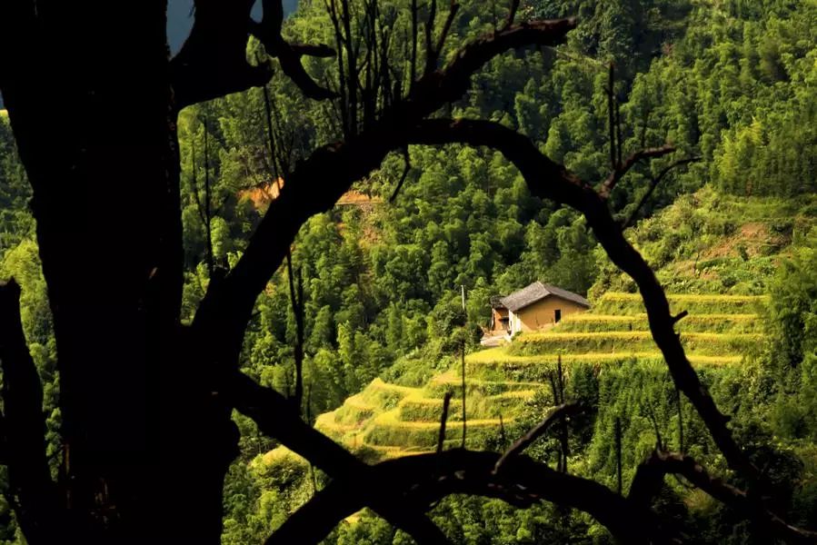 湖南株洲市炎陵县,湖南省株洲市炎陵县介绍