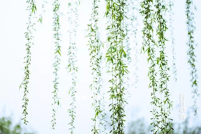 春是何时开始苏醒的,什么叫春期