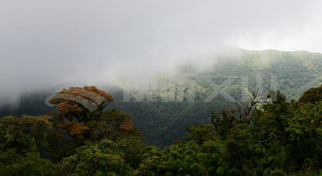第一高山歌曲,第一高山在哪