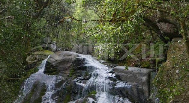 第一高山歌曲,第一高山在哪