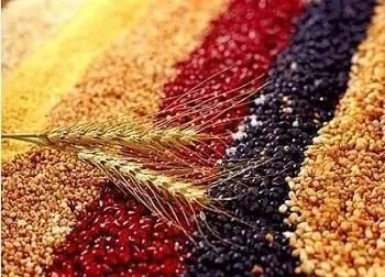 献血前能吃什么食物,为什么献血前不能吃花生