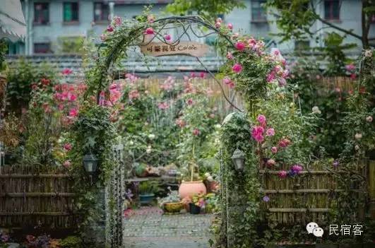 初夏,感受溪水的清凉,就去这几家溪畔民宿