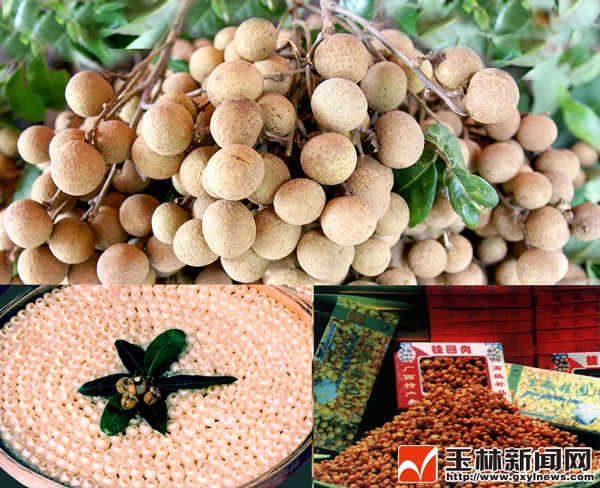 客家乡愁纪录片,客家人的乡愁