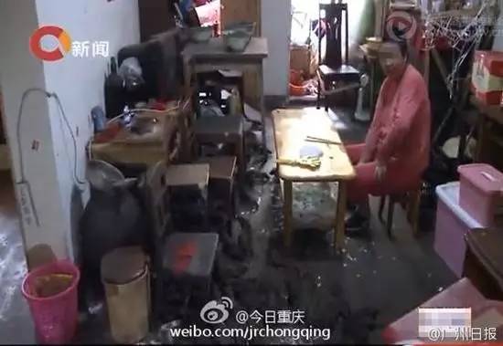 700年前的陶盘，猫认证