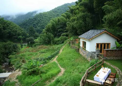 初夏,感受溪水的清凉,就去这几家溪畔民宿