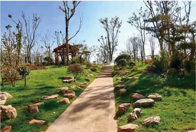 泸西游玩推荐,泸西旅游攻略必去景点推荐