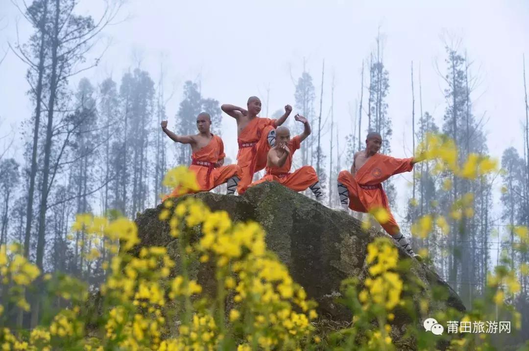 什么是莆田,什么是莆田高版本