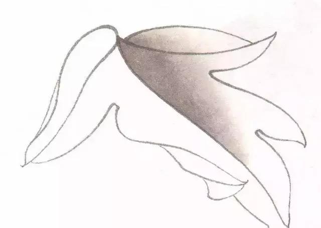 工笔画粉红花染色步骤,10分钟学会工笔画花朵染色