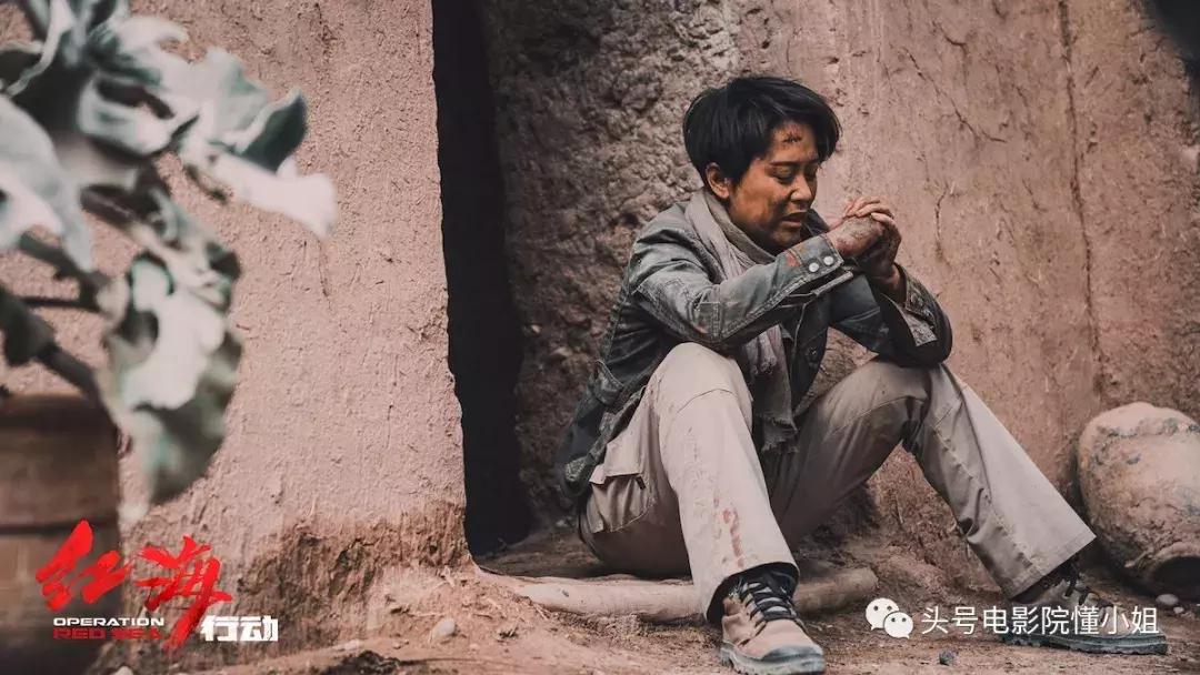 电影战狼3吴京红海行动,战狼3红海行动吴京