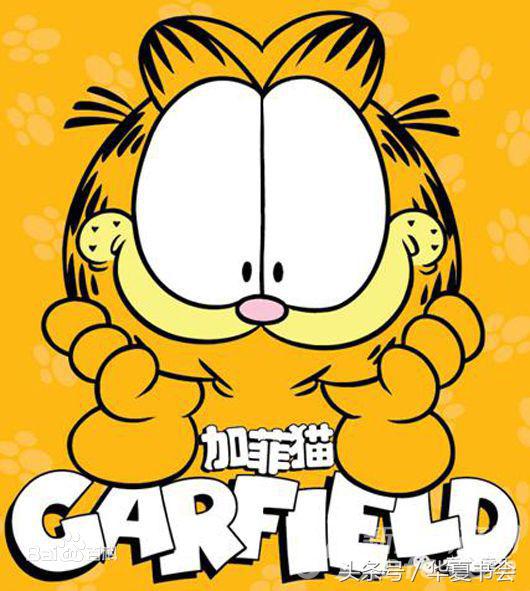 100部经典怀旧国外动画片,80后怀旧动画片变形金刚