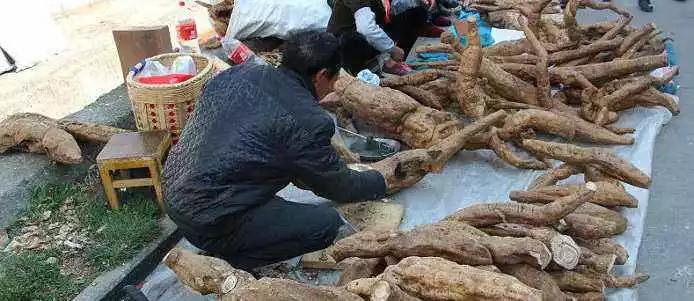 云南过大年,云南过大年怎么样的