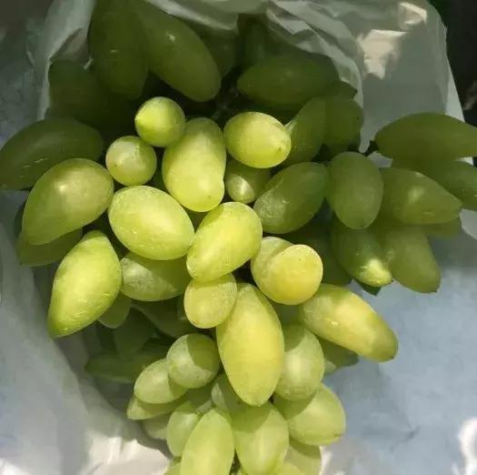 最全的上海美食盘点最想吃哪一个,上海十大美食排行榜最新