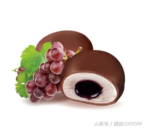 狗狗能吃零食甜甜圈吗,狗狗能吃咖啡糖吗