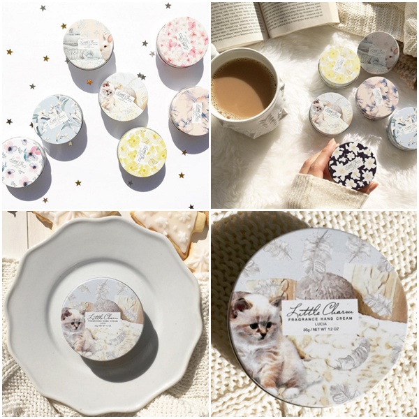 一些非常可爱的猫咪,这些可爱的猫咪让人着迷