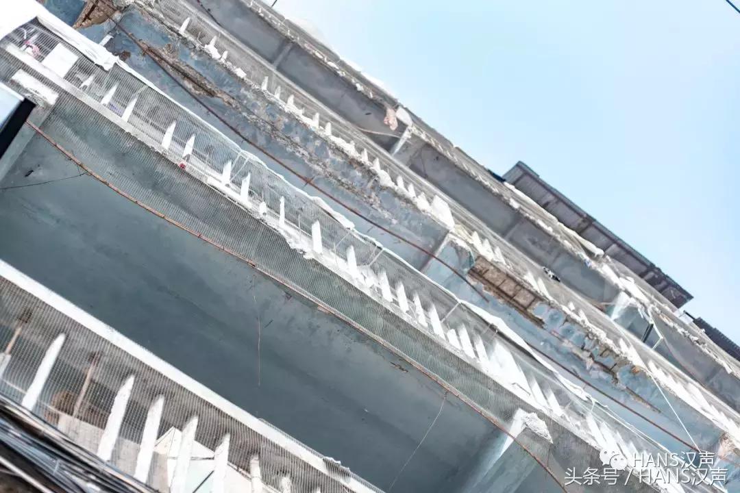 归元禅寺春节情况,归元寺新年