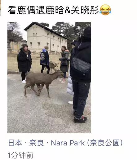 鹿晗带关晓彤见陈赫邓超,鹿晗看范丞丞关晓彤