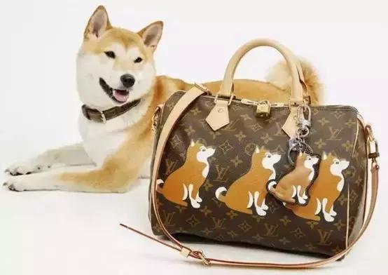 狗年大牌限定视频,国际大牌春节限定款