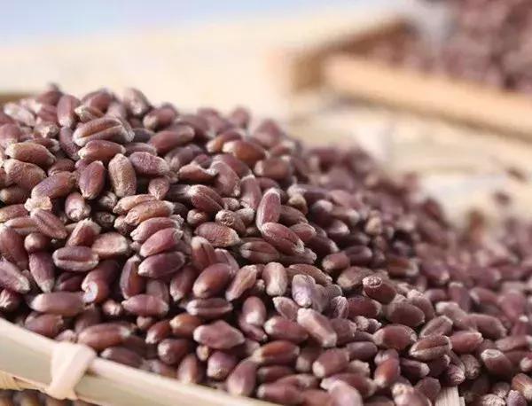 黑土豆马铃薯,黑土豆苹果