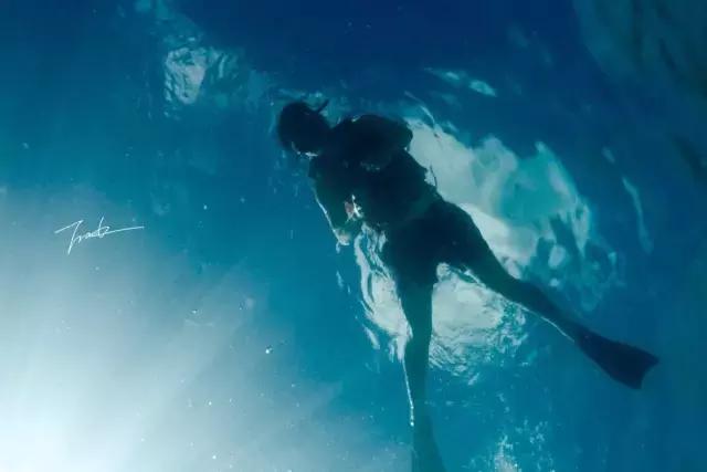 帕劳深度游出海,帕劳深潜体验