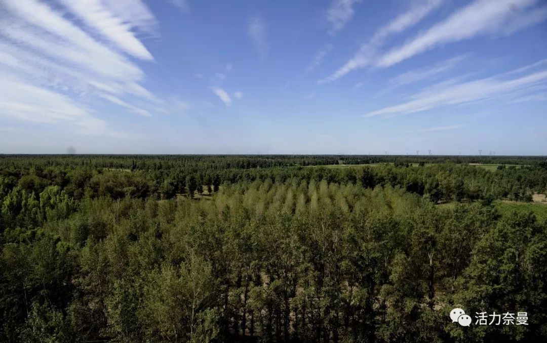 45万人的名片,太漂亮了!!《奈曼人的名片》最新版,45万次!!!精工打造!!!