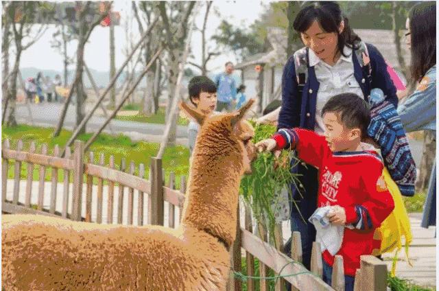 番禺农家乐一日游最佳地点,广州番禺亲子游农庄