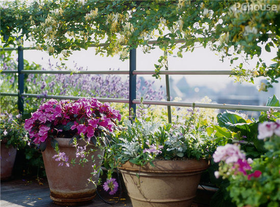 想挣大钱?快戳这!狗年招财全攻略