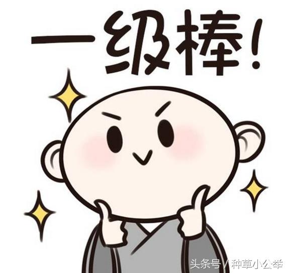 最好用的口红显白,不挑人的显白口红