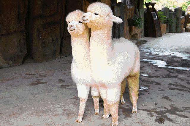 亲子游好去处!番禺周边的农家乐、游乐场、文化园…充实又好玩!