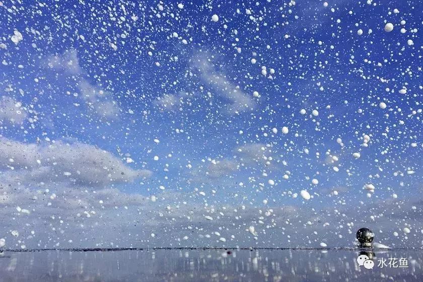 鱼冻伤的原因及处理方法,鱼类患病时会有什么表现