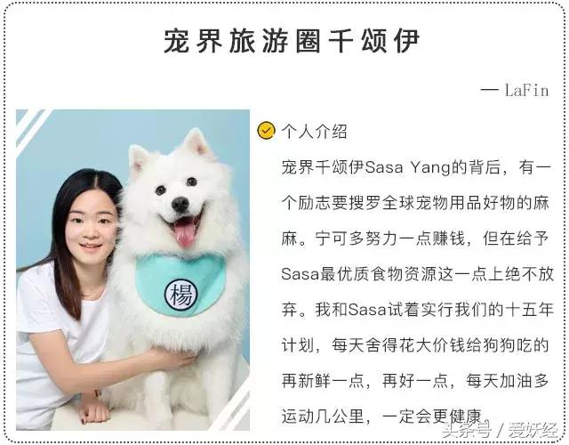 宠物洗护攻略,爱妖经养宠怎么玩