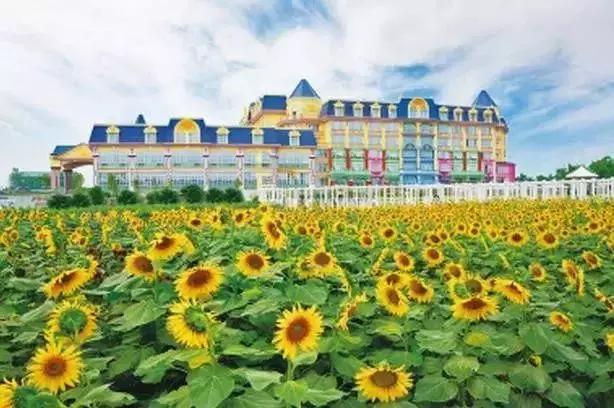 番禺农家乐一日游最佳地点,广州番禺亲子游农庄