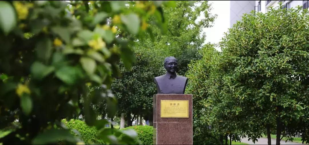 浙江工商大学毕业生就业质量远胜大部分211，可与苏大、东华比肩