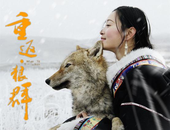 2017骞翠腑鍥界邯褰曠墖澶у叏,2017骞存礊鏈楀嵄鏈虹邯褰曠墖