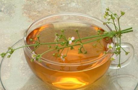 女性尿道炎吃什么东西比较好,女性非淋性尿道炎症状怎么检查