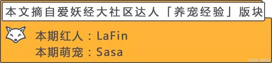 爱妖经大数据评测,爱妖经洗衣液不粘毛