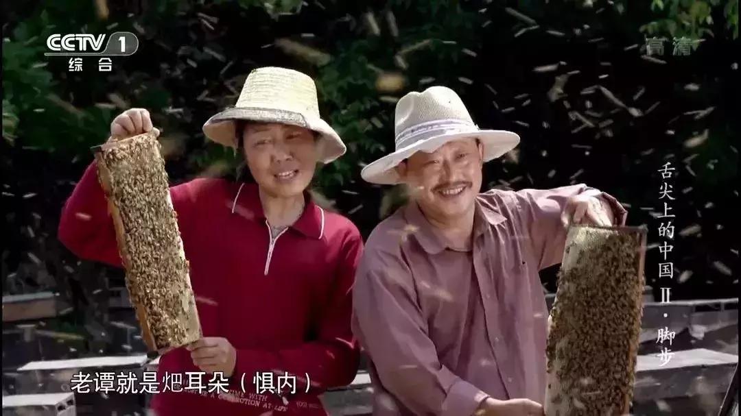 舌尖3酸菜,舌尖3椿树沟