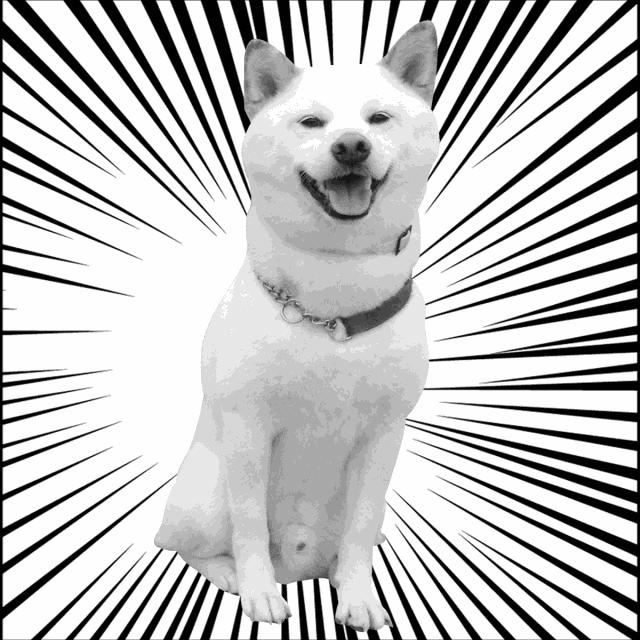 狗年说狗,许昌卧狗台故事