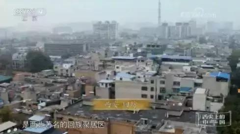 舌尖3酸菜,舌尖3椿树沟