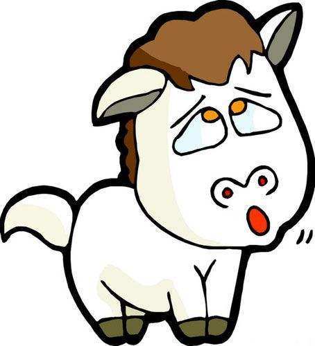 传统文化十二生肖视频,中华传统文化十二生肖图片