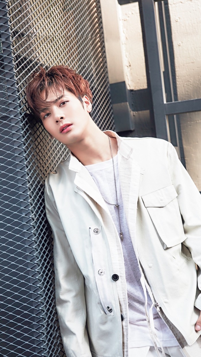 宋仲基王嘉尔,宋仲基演艺经历